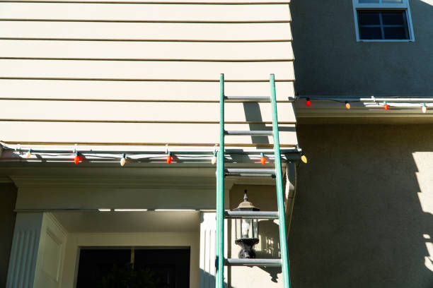 Best Historical Building Siding Restoration  in Scandia, MN